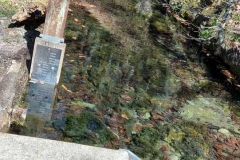 Schutterquelle bei Wellheim