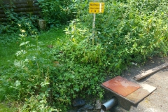 Heilquelle Ziererleitn