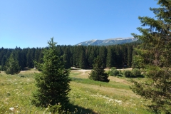 Olympia Piste Sarajevo