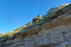 Durmitor Nationalpark