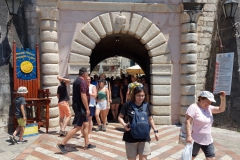 Kotor