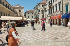 Kotor