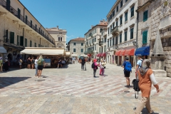 Kotor