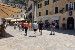 Kotor