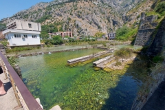Kotor