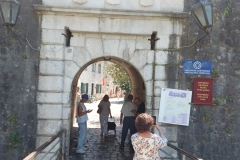 Kotor