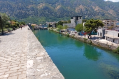 Kotor