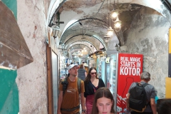 Kotor
