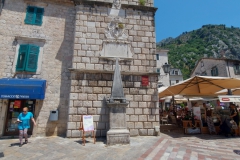 Kotor