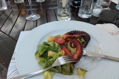 Herceg Novi