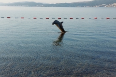 Herceg Novi
