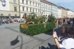 Oktoberfestumzug-121