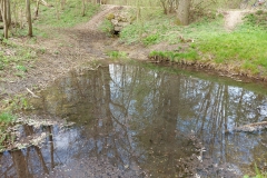 Retzbachquelle in Gaimersheim