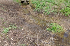 Retzbachquelle in Gaimersheim