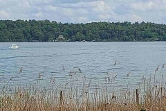 Roseninsel in Possenhofe am Starnberger See