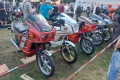 Schluchtenflitzer-110