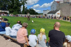 Falkenhof auf der Rosenburg