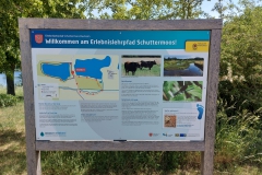 Schuttermoos Buxheim