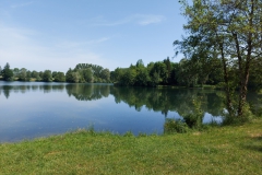 Schuttermoos Buxheim