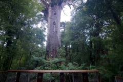Neuseeland