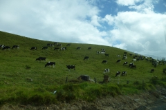 Neuseeland