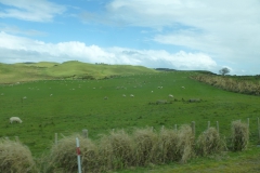 Neuseeland