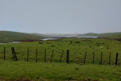 Neuseeland