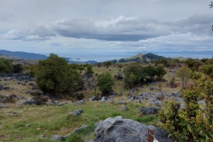 Neuseeland