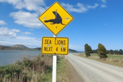 Neuseeland