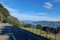 Neuseeland