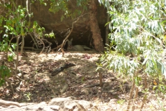 Australien