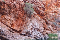 Australien