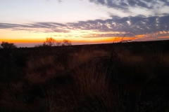 Australien