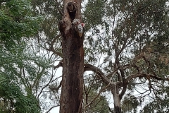 Australien