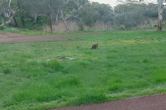Australien