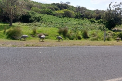 Australien