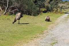 Australien