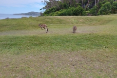 Australien