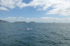 Australien