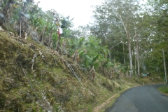 Australien