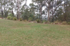 Australien