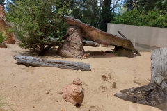 Australien