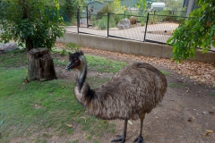 Australien2135