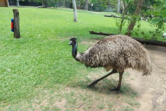 Australien
