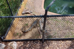 Australien