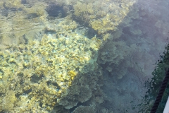 Australien