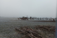 Wildtiergehege in Gerolfing