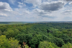 Tour zum Steigerwald