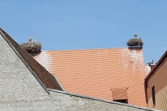 Storchenstadt Uehlfeld