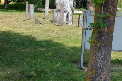 StorchenstadtUehlfeld120